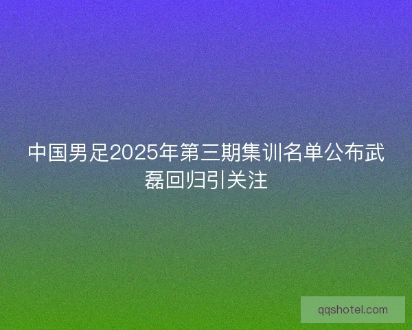 中国男足2025年第三期集训名单公布武磊回归引关注